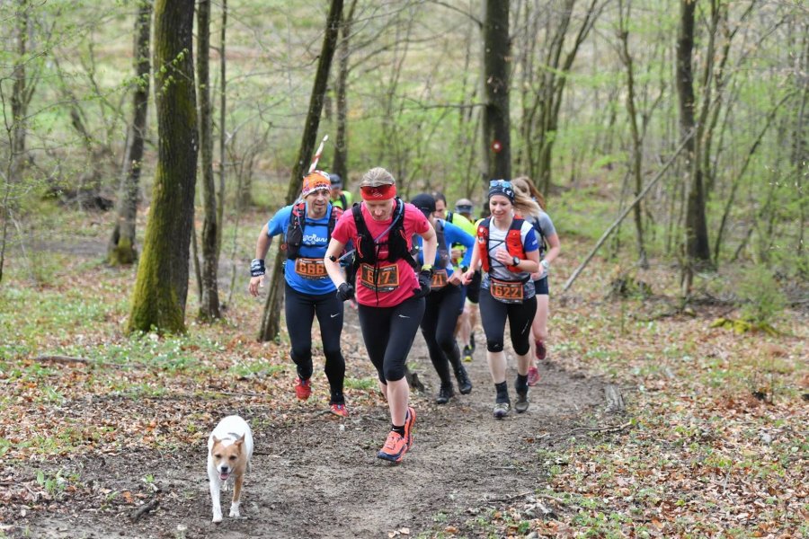 Trail runners and dog runners